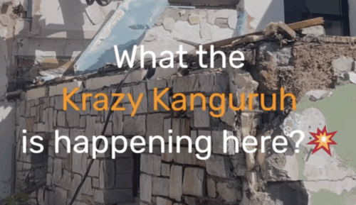 Krazy Kanguruh purettu